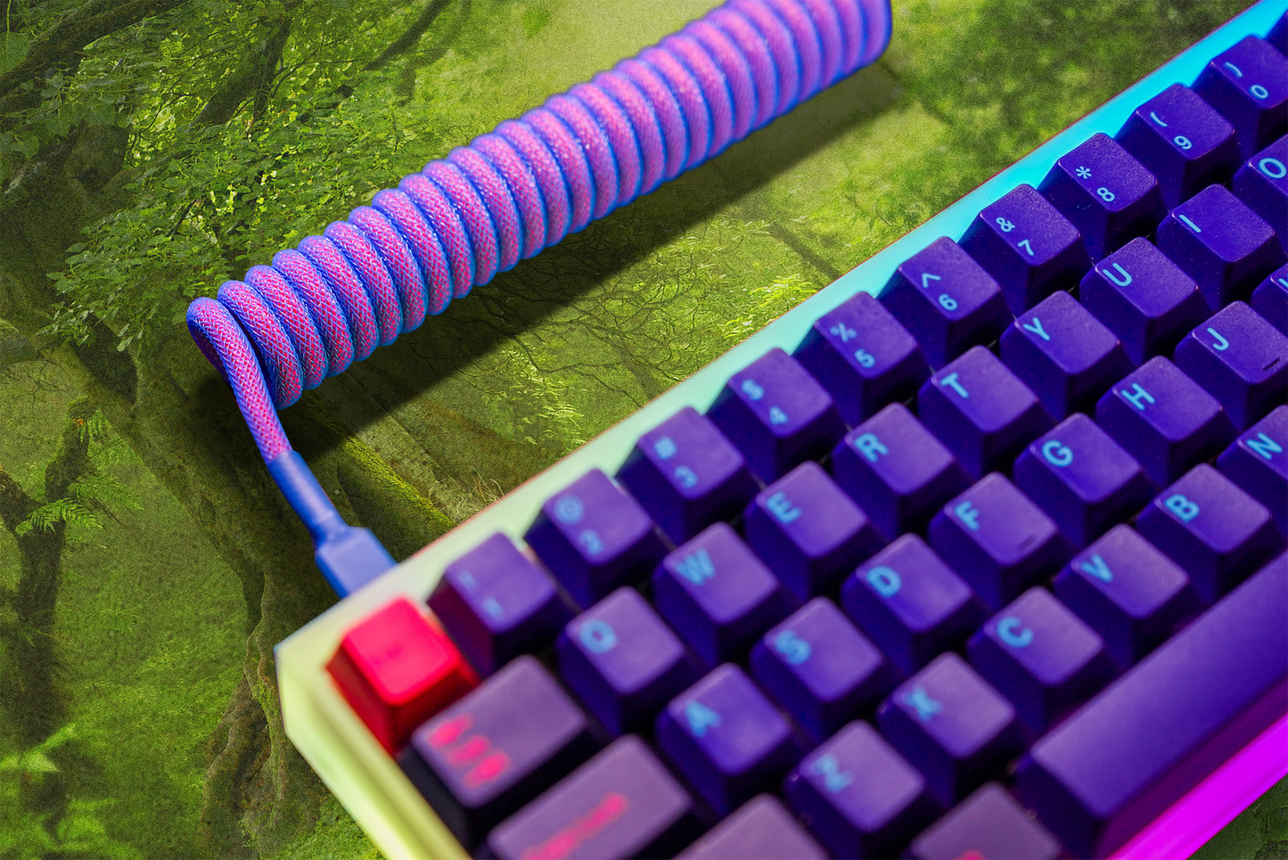 Lost in the Woods